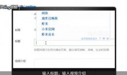 爆料怎么添加视频号,一招轻松打造爆款内容